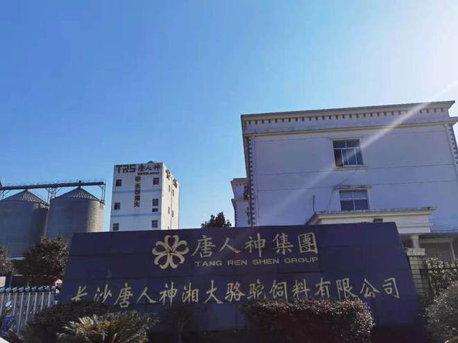 大方向连跌1年业绩有望大增迎来炒作EVO视讯每年1月必炒业绩报这5(图2)