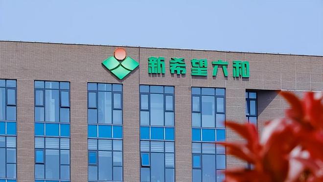 大方向连跌1年业绩有望大增迎来炒作EVO视讯每年1月必炒业绩报这5(图26)