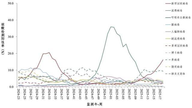 来_高峰_病毒_呼吸道EVO视讯平台新冠又(图7)